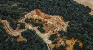 Desforestació global