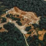 A pesar de los esfuerzos, el ritmo de deforestación se ha incrementado en todo el mundo los últimos años. (Renaldo Matamoro / Unsplash)