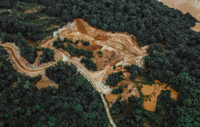 A pesar de los esfuerzos, el ritmo de deforestación se ha incrementado en todo el mundo los últimos años. (Renaldo Matamoro / Unsplash)