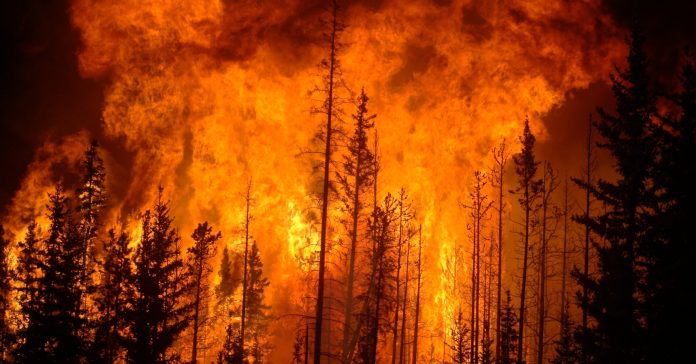 Canadá es un país con mucha vegetación, donde los incendios forestales son comunes sobre todo en verano. En la foto, un incendio en la provincia canadiense de Alberta en 2009. (Cameron Strandberg / Wikimedia Commons)