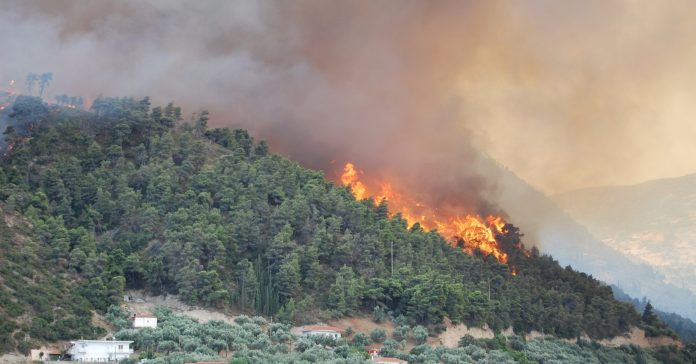 El Mediterráneo está sufriendo intensos incendios forestales. En la foto, imagen de archivo de incendio forestal en Grecia (Lotus R/WikiCommons)