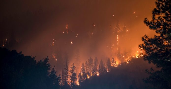 El fuego destruye bosques y ecosistemas y supone un riesgo para el planeta (Matt Howard/Unsplash)