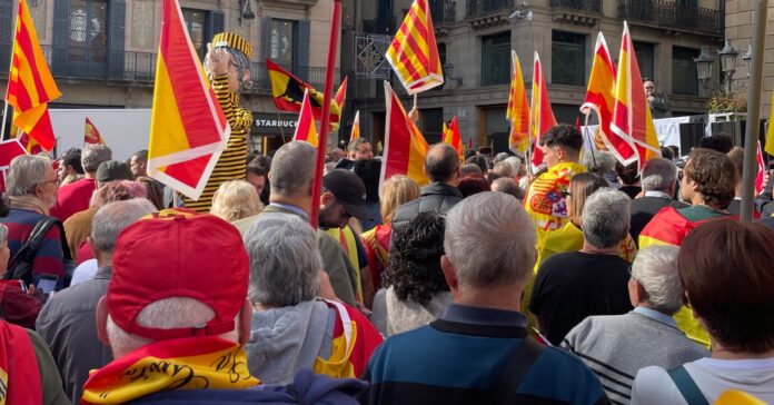 Manifestación en contra de la Ley de amnistía celebrada el domingo 18 en Barcelona (M.D.)