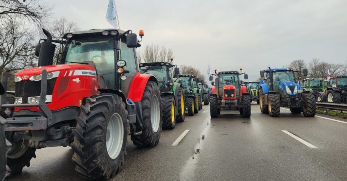 500 campesinos se reunieron en la carretera francesa M35 durante 24 horas antes de llegar a París (Rue89 Strasbourg Flickr)