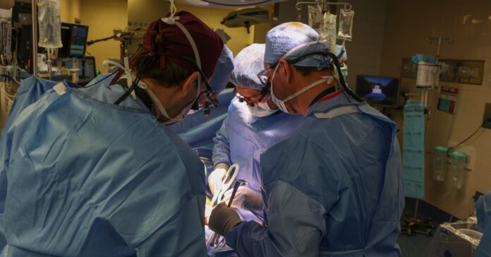 Los cirujanos del Hospital General de Massachusetts realizan la cirugía de un riñón de cerdo modificado genéticamente trasplantado a un ser humano vivo (Hospital General de Massachusetts)