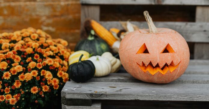 Las calabazas son la típica decoración de la fiesta de Halloween (Pexels Karolina Grabowska)