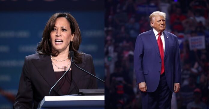 Kamala Harris y Donald Trump, candidatos a la presidencia de Estados Unidos (Gage Skidmore / Wimikedia Commons)