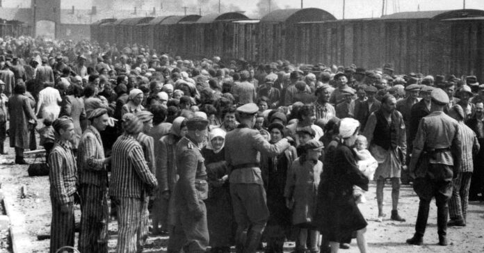 Selección de presos en Auschwitz II-Birkenau (mayo-junio de 1944)/Bernhard Walter / Wikimedia Commons