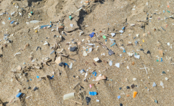 Fotograma de la película 'El club de los incomprendidos'. (Netflix)