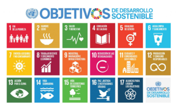 La Agenda 2030 plantea un total de 17 Objetivos de Desarrollo Sostenible, conocidos como ODS (UN Department of Global Communications)
