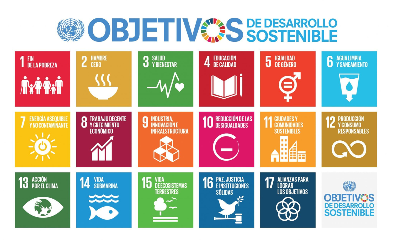 La Agenda 2030 plantea un total de 17 Objetivos de Desarrollo Sostenible, conocidos como ODS (UN Department of Global Communications)