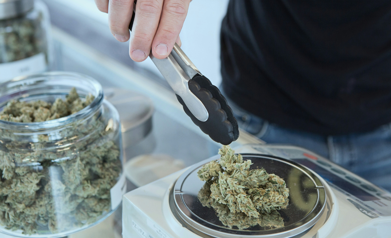 El cannabis para uso terapéutico solo se dispensará en los hospitales/ (Budding / Unsplash)