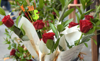 Rosas de Sant Jordi (Pixabay)